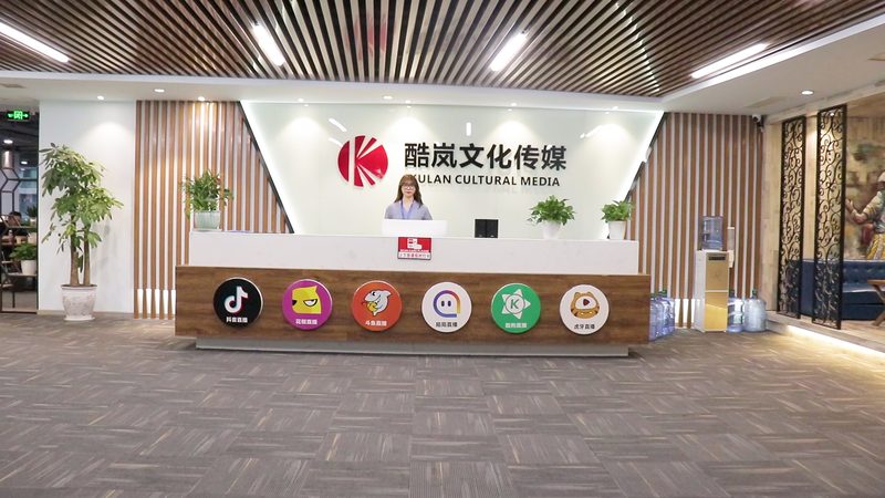 纪录片拍摄代理加盟标准：揭秘行业规范与加盟要点